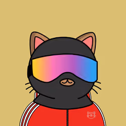 Linpuss Crew #341