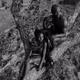 The Tree of Life