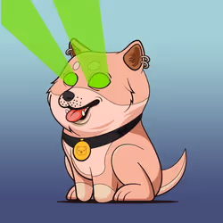 Baby Doge #6345