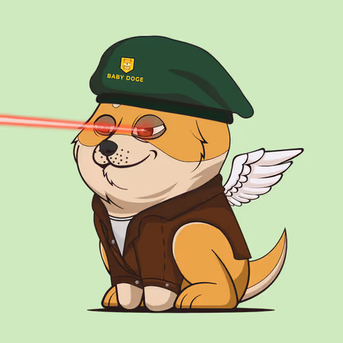 Baby Doge #9993