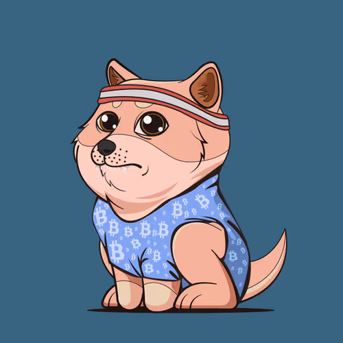 Baby Doge #9963