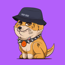 Baby Doge #4063