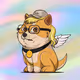 Baby Doge #1270