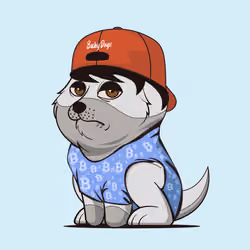 Baby Doge #6988
