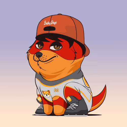 Baby Doge #809
