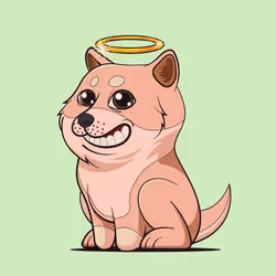 Baby Doge #797