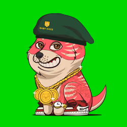 Baby Doge #1308