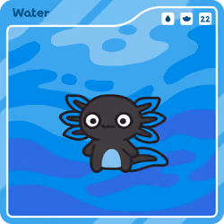 Water Sage #22
