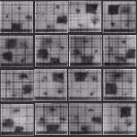 Chronophotograph