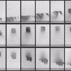Chronophotograph 229