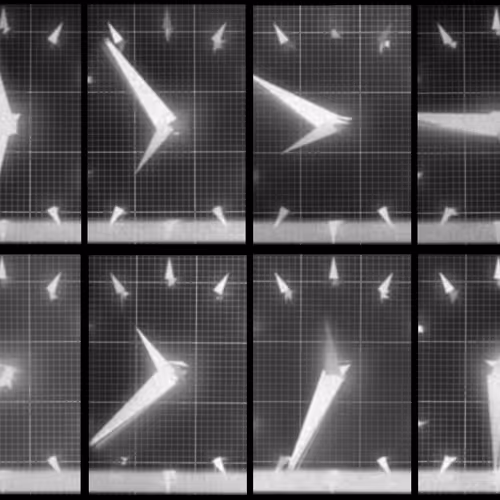 Chronophotograph
