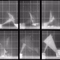 Chronophotograph 95