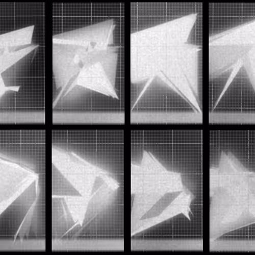 Chronophotograph