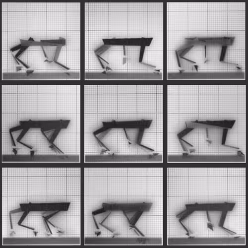 Chronophotograph