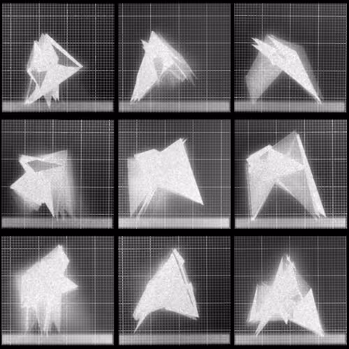 Chronophotograph