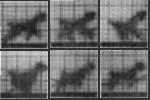 Chronophotograph
