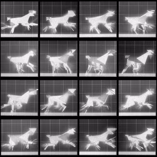 Chronophotograph