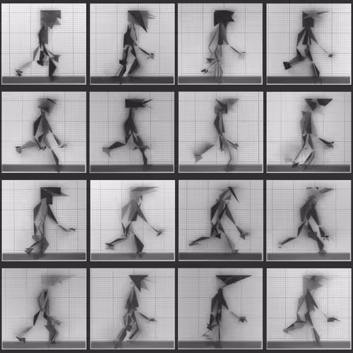 Chronophotograph 207