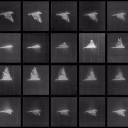 Chronophotograph 232
