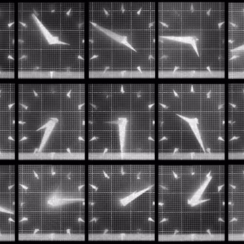 Chronophotograph