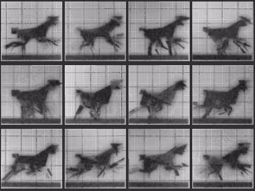 Chronophotograph 67