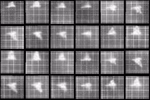 Chronophotograph 32