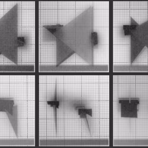 Chronophotograph