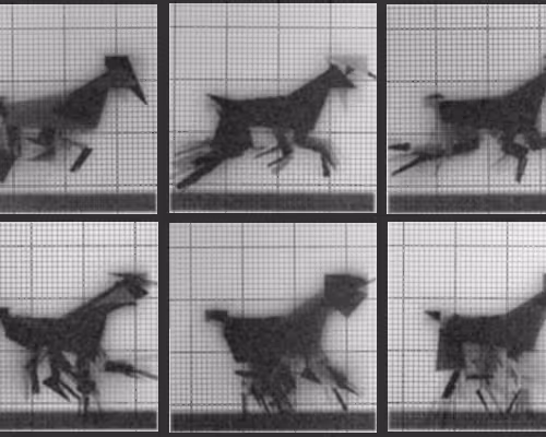 Chronophotograph 101