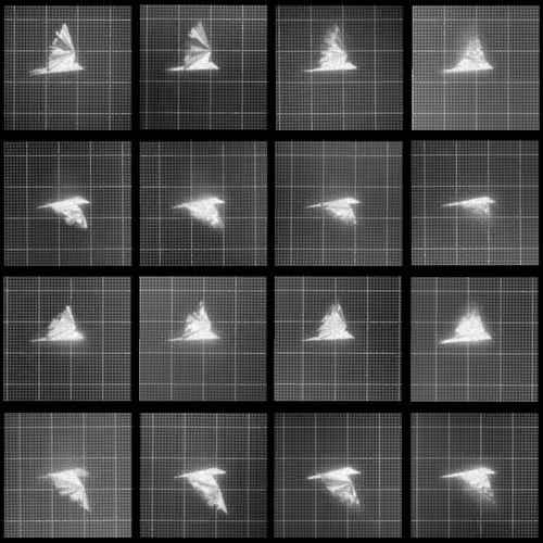 Chronophotograph 131