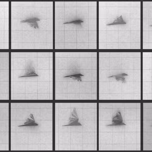 Chronophotograph