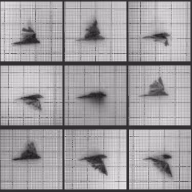 Chronophotograph