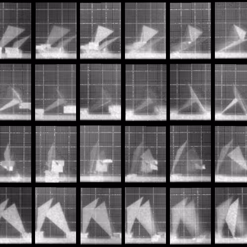 Chronophotograph 75