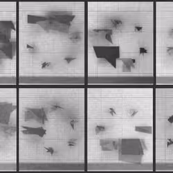 Chronophotograph 243