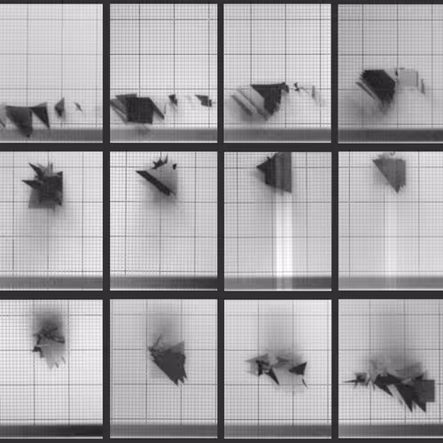 Chronophotograph