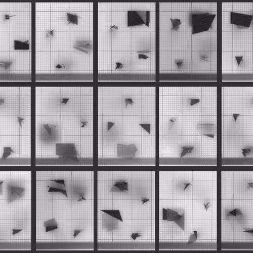 Chronophotograph 152
