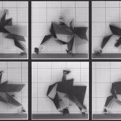 Chronophotograph 147