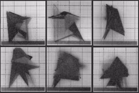 Chronophotograph 74