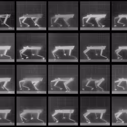 Chronophotograph 226