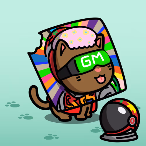 Messycatscollection
