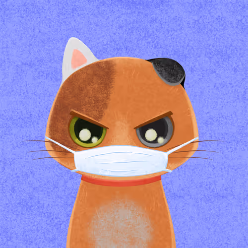 Hodl Cats Nft