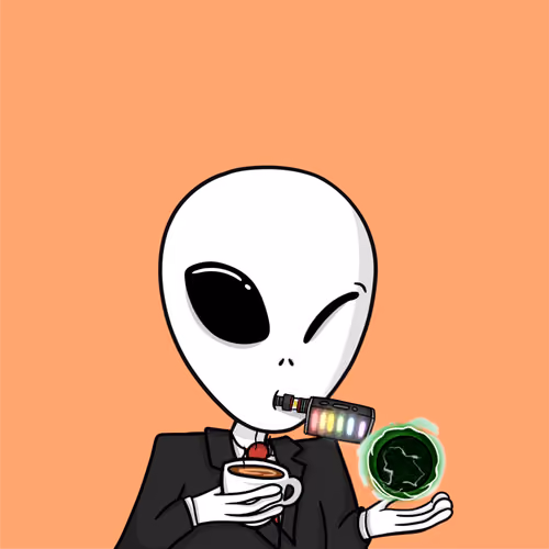 Mansion Boy 15529