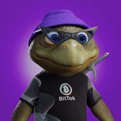 Save The Turtlez Mission