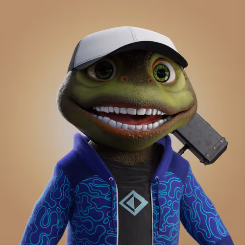 Save The Turtlez Mission
