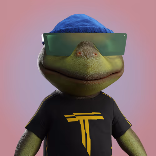 Save The Turtlez Mission