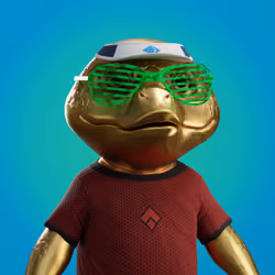 Turtles #3497