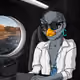 3036