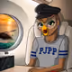 849