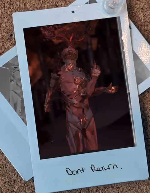 Item #500030010 Media