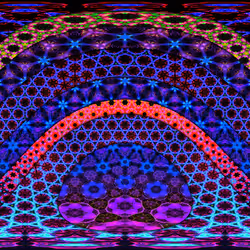 Cocoon 22022022