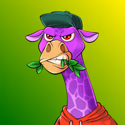 2511